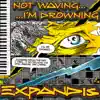 I'm Not Waving... I'm Drowning album lyrics, reviews, download