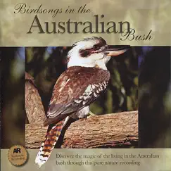 Blue-Winged Kookaburra, Noisy Friarbird, Pied Butcherbird and Peaceful Dove Song Lyrics