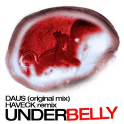 Underbelly (Haveck Remix) Song Lyrics
