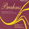 Brahms: Clarinet Quintet in B Minor, Clarinet Sonata No. 2 album lyrics, reviews, download