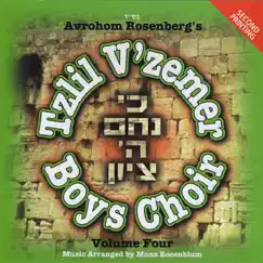 Ki Nicham Hashem Tzion, Vol. 4 by Tzlil V'zemer Boys Choir album reviews, ratings, credits