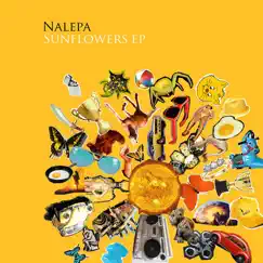 Sunflowers (FuzZ Remix) Song Lyrics