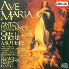 Ave Maria, WAB 5 Song Lyrics