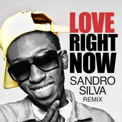 Love Right Now (Sandro Silva Remix) Song Lyrics