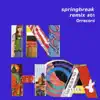 Springbreak Remix, Vol. 1 - Single album lyrics, reviews, download