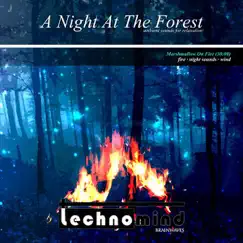 A Night At the Forest - Single by Technomind album reviews, ratings, credits
