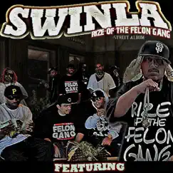 The Rize Of The Felon Gang (feat. Stack Paypa) Song Lyrics