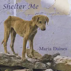 Shelter Me Song Lyrics