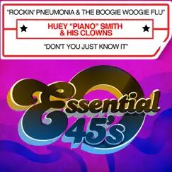 Rockin' Pneumonia & The Boogie Woogie Flu Song Lyrics