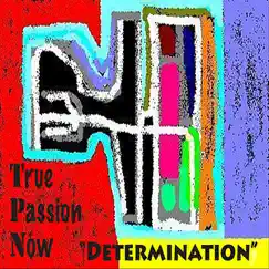 Determination - Single by True Passion Now album reviews, ratings, credits