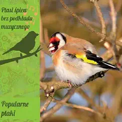 Songs and Calls of Popular Polish Birds by Singing Birds of Poland album reviews, ratings, credits