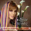 Lucia Mendez Canta un Homenaje a Juan Gabriel album lyrics, reviews, download