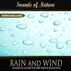 Rain and Wind (Nature Sounds) - Single by Sounds of Nature for Deep Sleep and Relaxation album reviews, ratings, credits