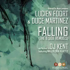 Falling (feat. Malehloka Hlalele) [Duce Martinez Lido Arena Dub] Song Lyrics