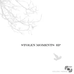 Stolen Moments - Single by Static Sense album reviews, ratings, credits