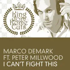 I Can’t Fight This (Original Radio Mix) [feat. Peter Millwood] Song Lyrics
