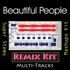 Beautiful People (Multi Tracks Tribute Chris Brown feat Benny Benassi) by Remix Kit album reviews, ratings, credits