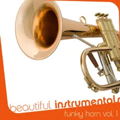 Beautiful Instrumentals: Funky Horn, Vol. 1 by Gabor Kristof album reviews, ratings, credits