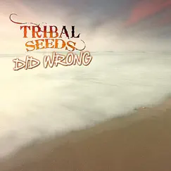 Did Wrong - Single by Tribal Seeds album reviews, ratings, credits