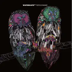 Watergate 09 by Tiefschwarz album reviews, ratings, credits