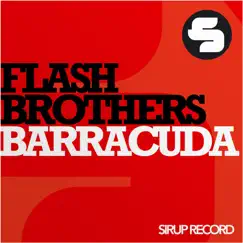 Barracuda (Sebastian Krieg & Roman F. Remix) Song Lyrics