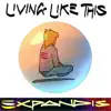 Living Like This album lyrics, reviews, download