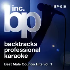 Best Male Country Hits, Vol. 1 (Karaoke) by Backtrack Professional Karaoke Band album reviews, ratings, credits