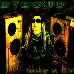 Destiny In Life by Evestus album reviews, ratings, credits