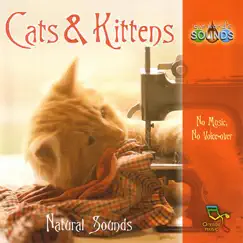 Morning: Cat's and Kittens Venture Out Into the Garden Song Lyrics
