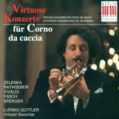 Concerto for 2 Corno Da Caccia, 2 Oboes and Bassoon In D Major (arr. M. Fechner): I. Allegro Song Lyrics