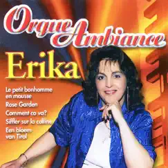 Orgue Ambiance Vol. 1 by Erika album reviews, ratings, credits