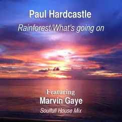 Rainforest/What's Going On (Soulful House Mix) - Single by Paul Hardcastle album reviews, ratings, credits