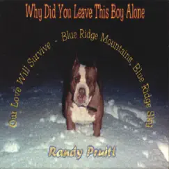 Why Did You Leave This Boy Alone? by Randy Pruitt album reviews, ratings, credits