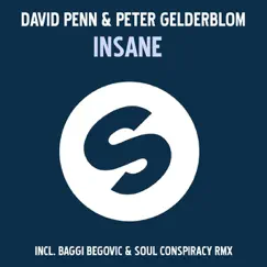 Insane - EP by David Penn & Peter Gelderblom album reviews, ratings, credits
