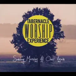Sunday Morning All Over Again by Tabernacle Worship Experience album reviews, ratings, credits