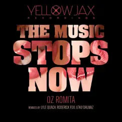 The Music Stops Now (Utku Dalmaz Remix) Song Lyrics