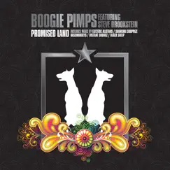 Promised Land by Steve Brookstein & Boogie Pimps album reviews, ratings, credits