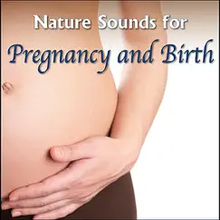 For Expectant Mothers: Calming Forest Streams to Relieve Pregnancy Symptoms Song Lyrics