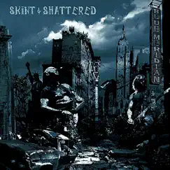 Skint & Shattered by Blue Meridian album reviews, ratings, credits