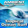 Tropical Ocean Surf (Nature Sounds) album lyrics, reviews, download