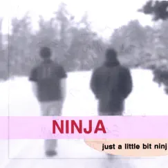 This Is Ninja Song Lyrics