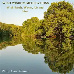 Wild Wisdom Meditations with Earth, Water, Air & Fire by Philip Carr-Gomm album reviews, ratings, credits