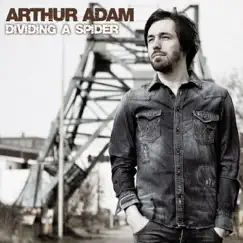 Dividing a Spider - Single by Arthur Adam album reviews, ratings, credits