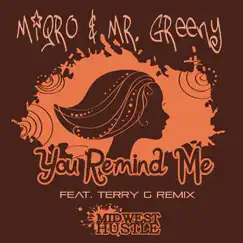 You Remind Me - Single by Miqro album reviews, ratings, credits