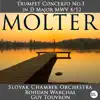 Trumpet Concerto No.1 in D Major, MWV 4/12: I. Allegro song lyrics