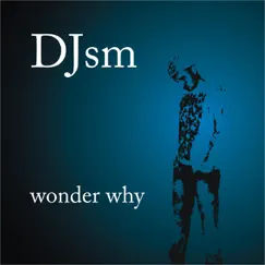 Wonder why (Sm Electro Version) Song Lyrics