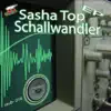 Schallwandler - EP album lyrics, reviews, download