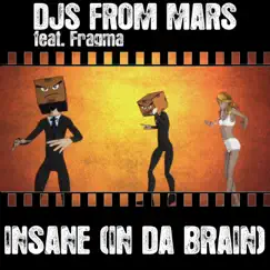 Insane (In Da Brain) [Dj Ross & Alessandro Viale Extended Remix] Song Lyrics