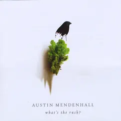 What's the Rush? by Austin Mendenhall album reviews, ratings, credits