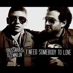 I Need Somebody to Love - Single by Trussardi & Dzemailov album reviews, ratings, credits